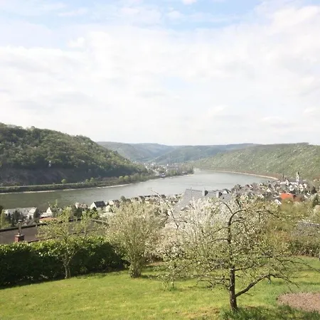 Rheintalblick Hotel 3*